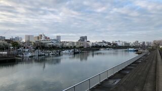 しながわ花海道