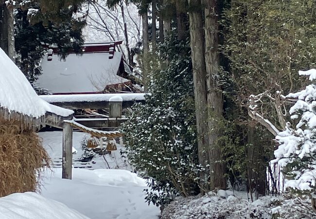 雪に覆われた神社