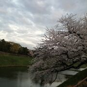 桜の名所です。