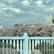 東京下町の大きな川