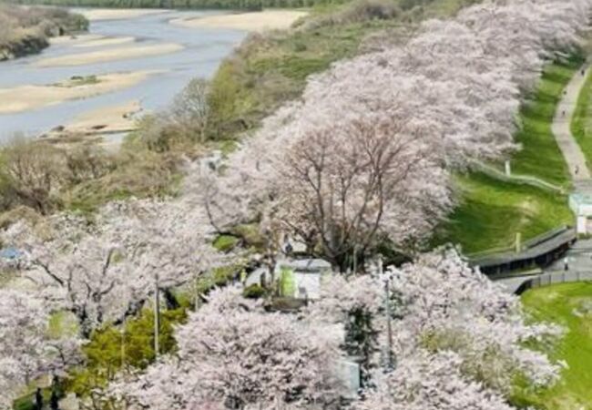 噂に聞いていた以上に...