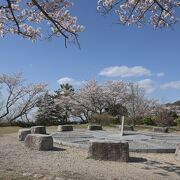 3/28 二上山・雌岳山頂の桜満開　今年は早い