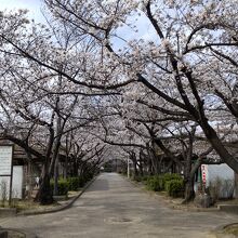 西猪名公園