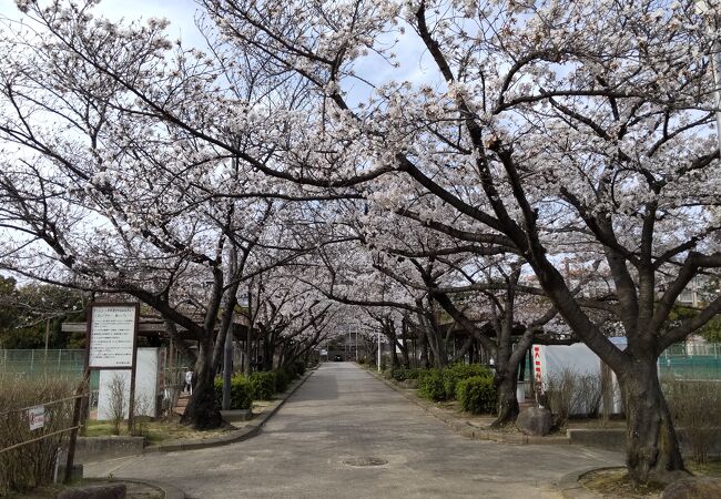 西猪名公園