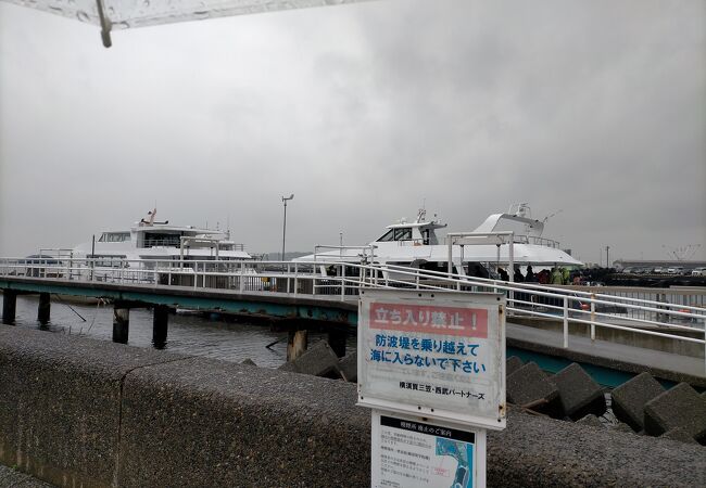 猿島など横須賀周辺の観光遊覧船などが発着