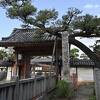 古市古墳群　ふじい寺桜情報