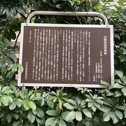 日本橋小学校の前