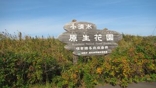 釧網本線沿い