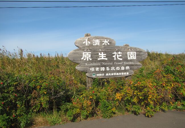 釧網本線沿い