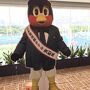 ツバメのお宿