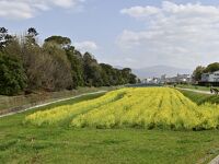 応神天皇陵古墳