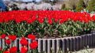 レトロな京都府立植物園