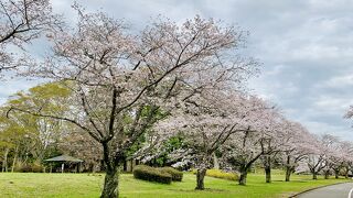 平和公園 (千葉市)