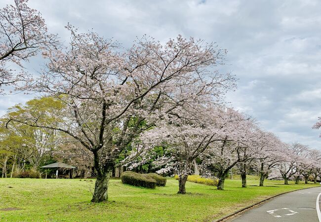 平和公園 (千葉市)