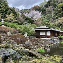 本堂裏手にある庭園