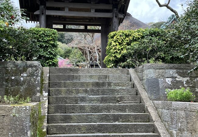 花の寺、水の寺…美しい寺