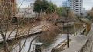 夏はじゃぶじゃぶ池も