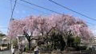 関西鉄道大仏線遺構