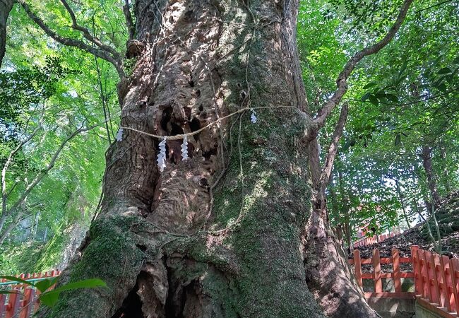 薩摩川内市観光