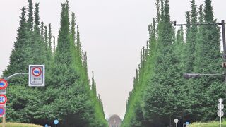 銀杏並木と運動施設