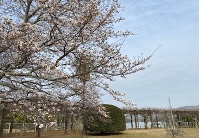 三永水源地