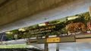 ナイトサファリシャトルバス