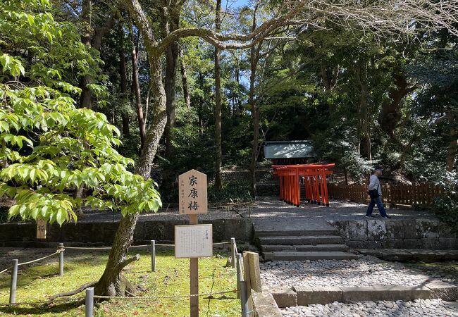 朱の鮮やかな鳥居群