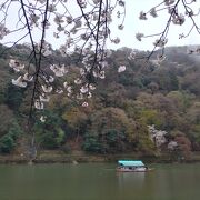 橋の東北・臨川寺あたり一帯を総称して嵐山公園