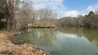 大沼と駅挟んで反対側