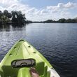 Manatee kayaking company