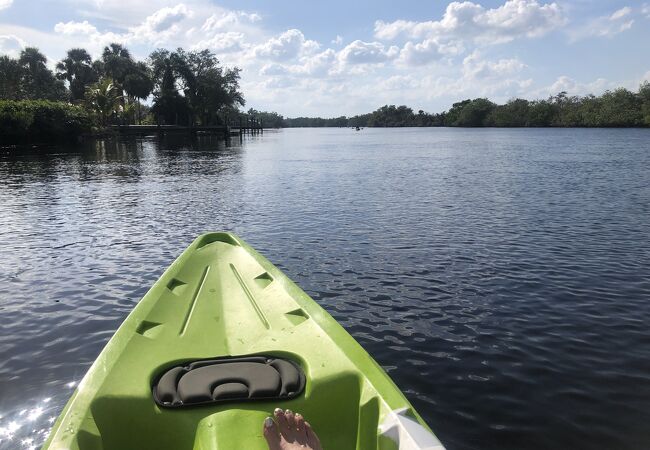 Manatee kayaking company