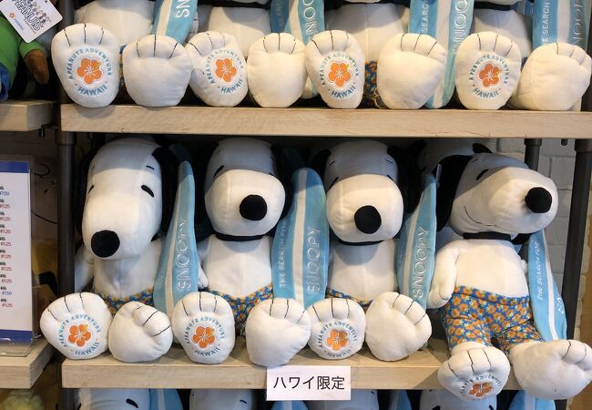 Search for Snoopy retail shop