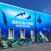 体験型の水族館