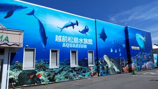 体験型の水族館