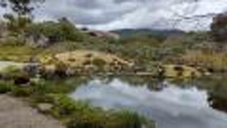 一見する価値あります！！