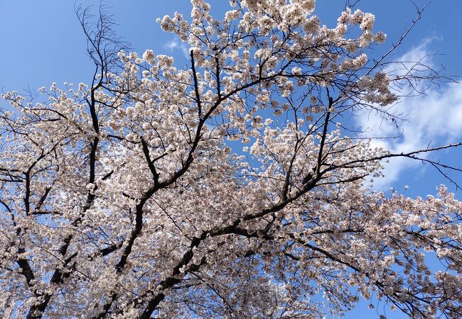 太平山県立自然公園