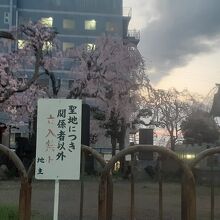 成田権現神社