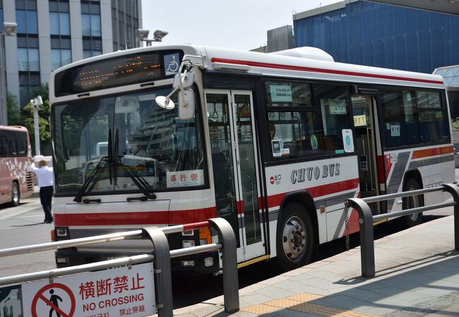 八角部屋創立30周年 横綱還暦土俵入り 記念品