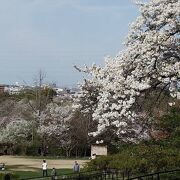 とにかく広大な公園