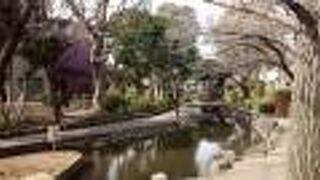 清いせせらぎは一年中安らぎを与えてくれます。