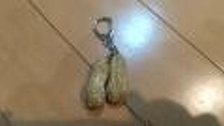 食品サンプルの小物がかわいい