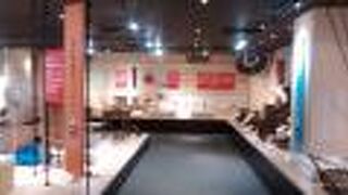 江戸川区郷土資料室