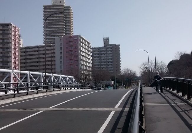 添付写真は、中川大橋上で、荒川方面を眺めた景色