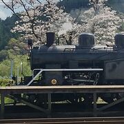 家山駅で桜とSLの眺め