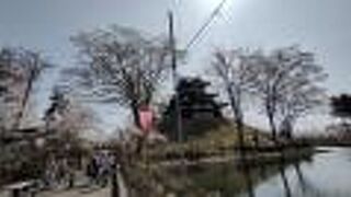 桜の絶景が見られる