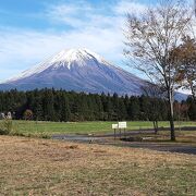 森の向こうに大きく富士山が見えます