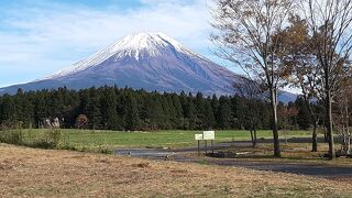 道の駅朝霧高原 富士山展望台