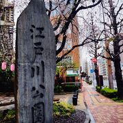 神田川沿いの桜の名所