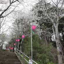 長谷寺(飯山観音)