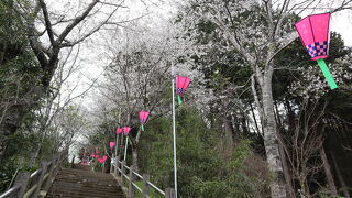 長谷寺(飯山観音)